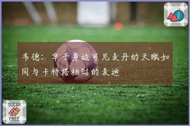 韦德：华子身边可见麦丹的天赋如同与卡特搭档时的麦迪